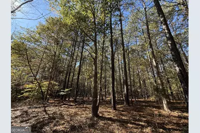 2 Lem Edwards Road, Colbert, GA 30628 - Photo 29