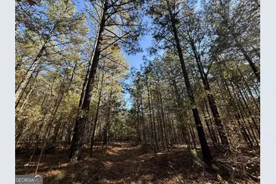 2 Lem Edwards Road, Colbert, GA 30628 - Photo 39