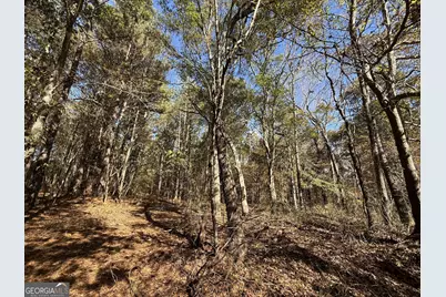 2 Lem Edwards Road, Colbert, GA 30628 - Photo 31