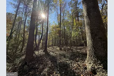 2 Lem Edwards Road, Colbert, GA 30628 - Photo 7