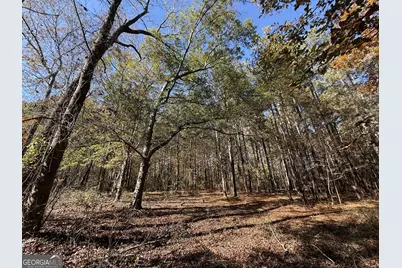 2 Lem Edwards Road, Colbert, GA 30628 - Photo 27