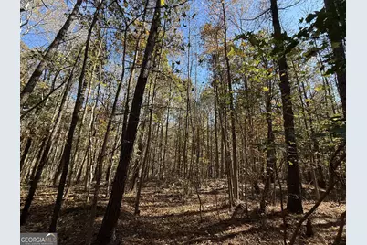 2 Lem Edwards Road, Colbert, GA 30628 - Photo 17