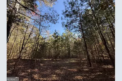 2 Lem Edwards Road, Colbert, GA 30628 - Photo 37