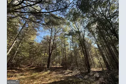 2 Lem Edwards Road, Colbert, GA 30628 - Photo 49