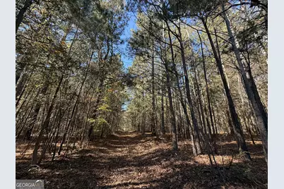 2 Lem Edwards Road, Colbert, GA 30628 - Photo 33