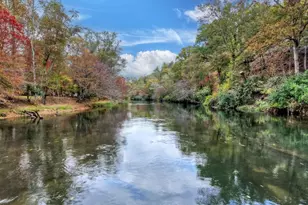 577 Blackberry, Mineral Bluff, GA 30559 - Photo 3