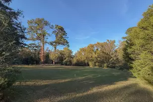 341 Azalea Ave, Millen, GA 30442 - Photo 55