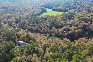 4686 Johnstonville Rd, Forsyth, GA 31029 - Photo 45