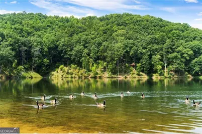 374 Nomad Court, Ranger, GA 30734 - Photo 9