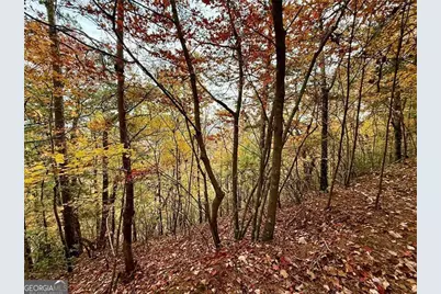 526 Fedorak Court, Ranger, GA 30734 - Photo 3