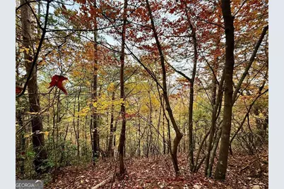 526 Fedorak Court, Ranger, GA 30734 - Photo 5