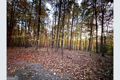 1345 Hunter Drive, Ranger, GA 30734 - Photo 3