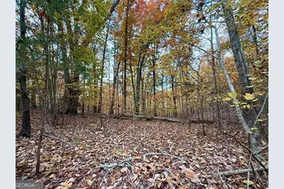 1345 Hunter Drive, Ranger, GA 30734 - Photo 5