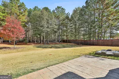 143 Linchwood Drive, Senoia, GA 30276 - Photo 47