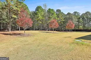 143 Linchwood Dr, Senoia, GA 30276 - Photo 55
