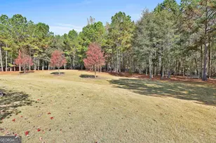 143 Linchwood Dr, Senoia, GA 30276 - Photo 49