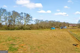 340 McFarlin Blvd, Carnesville, GA 30521 - Photo 47