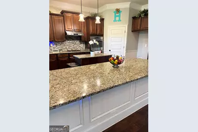 1869 Schofield Drive, Hampton, GA 30228 - Photo 9