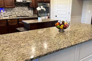 1869 Schofield Dr, Hampton, GA 30228 - Photo 9