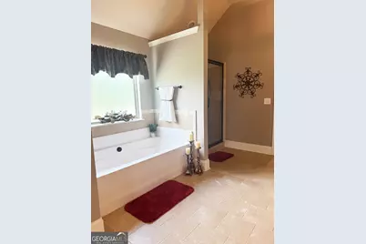 1869 Schofield Drive, Hampton, GA 30228 - Photo 35