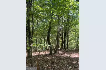 0 Vinson Mountain Road, Rockmart, GA 30153 - Photo 5