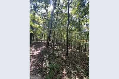 0 Vinson Mountain Road, Rockmart, GA 30153 - Photo 3