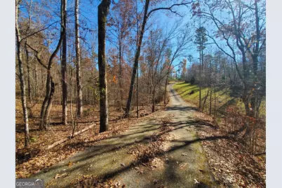 1116 Cody Road, Mount Airy, GA 30563 - Photo 37