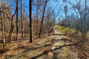 1116 Cody Rd, Mount Airy, GA 30563 - Photo 37