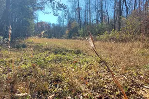 1116 Cody Rd, Mount Airy, GA 30563 - Photo 31