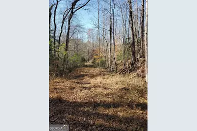 1116 Cody Road, Mount Airy, GA 30563 - Photo 33