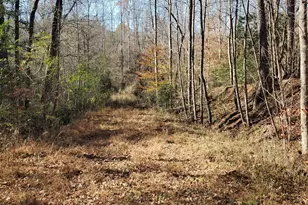 1116 Cody Rd, Mount Airy, GA 30563 - Photo 33