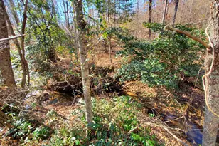 1116 Cody Rd, Mount Airy, GA 30563 - Photo 29