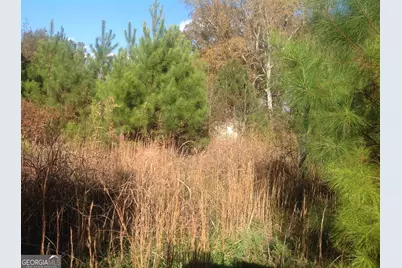 190 Weaver Road, Haddock, GA 31033 - Photo 3