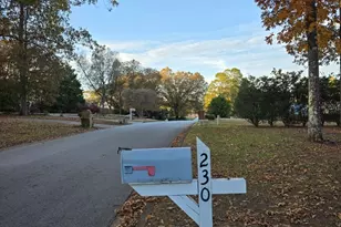 230 Dix Lee On Dr, Fayetteville, GA 30214 - Photo 91