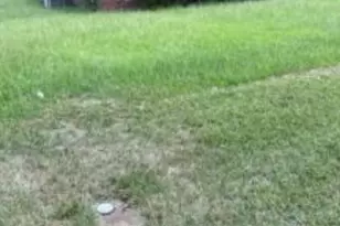 1103 Martin Luther King Jr Blvd, Columbus, GA 31906 - Photo 7