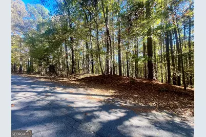 0 Chickadee Court #208, Monticello, GA 31064 - Photo 3