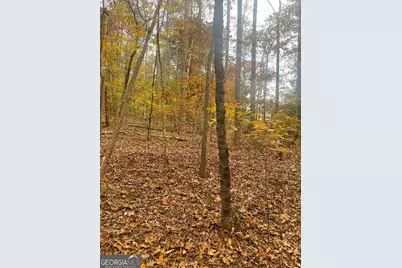 0 Lake Club Drive, Lavonia, GA 30553 - Photo 5