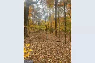 0 Lake Club Drive, Lavonia, GA 30553 - Photo 9