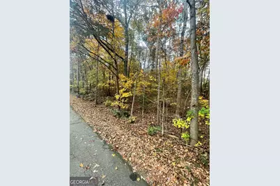 0 Lake Club Drive, Lavonia, GA 30553 - Photo 1