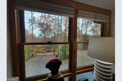 171 Mohawk Trail, Ellijay, GA 30540 - Photo 33