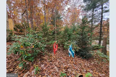 171 Mohawk Trail, Ellijay, GA 30540 - Photo 53