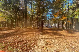 358 Whippoorwill Rd, Monticello, GA 31064 - Photo 3