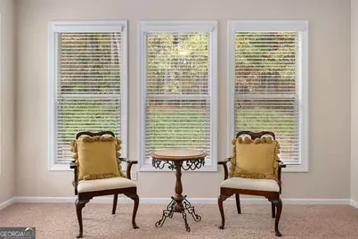 45 Mulberry Drive, Senoia, GA 30276 - Photo 19