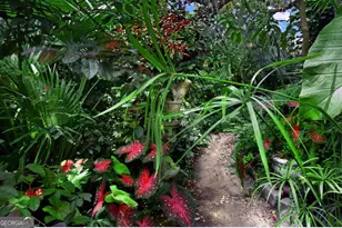 2229 Reynolds St, Brunswick, GA 31520 - Photo 21