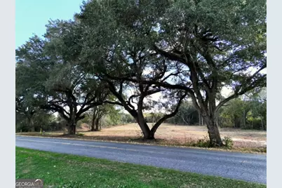 0 Goodson Road, Pelham, GA 31779 - Photo 1