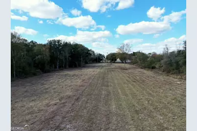 0 Goodson Road, Pelham, GA 31779 - Photo 5