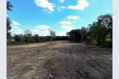 0 Goodson Road, Pelham, GA 31779 - Photo 3