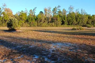 395 Mill Branch, Folkston, GA 31537 - Photo 1