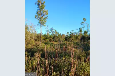 395 Mill Branch, Folkston, GA 31537 - Photo 11