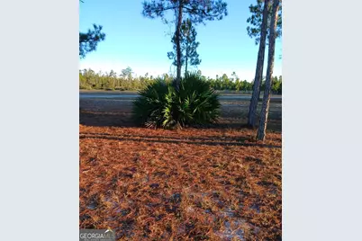 395 Mill Branch, Folkston, GA 31537 - Photo 3